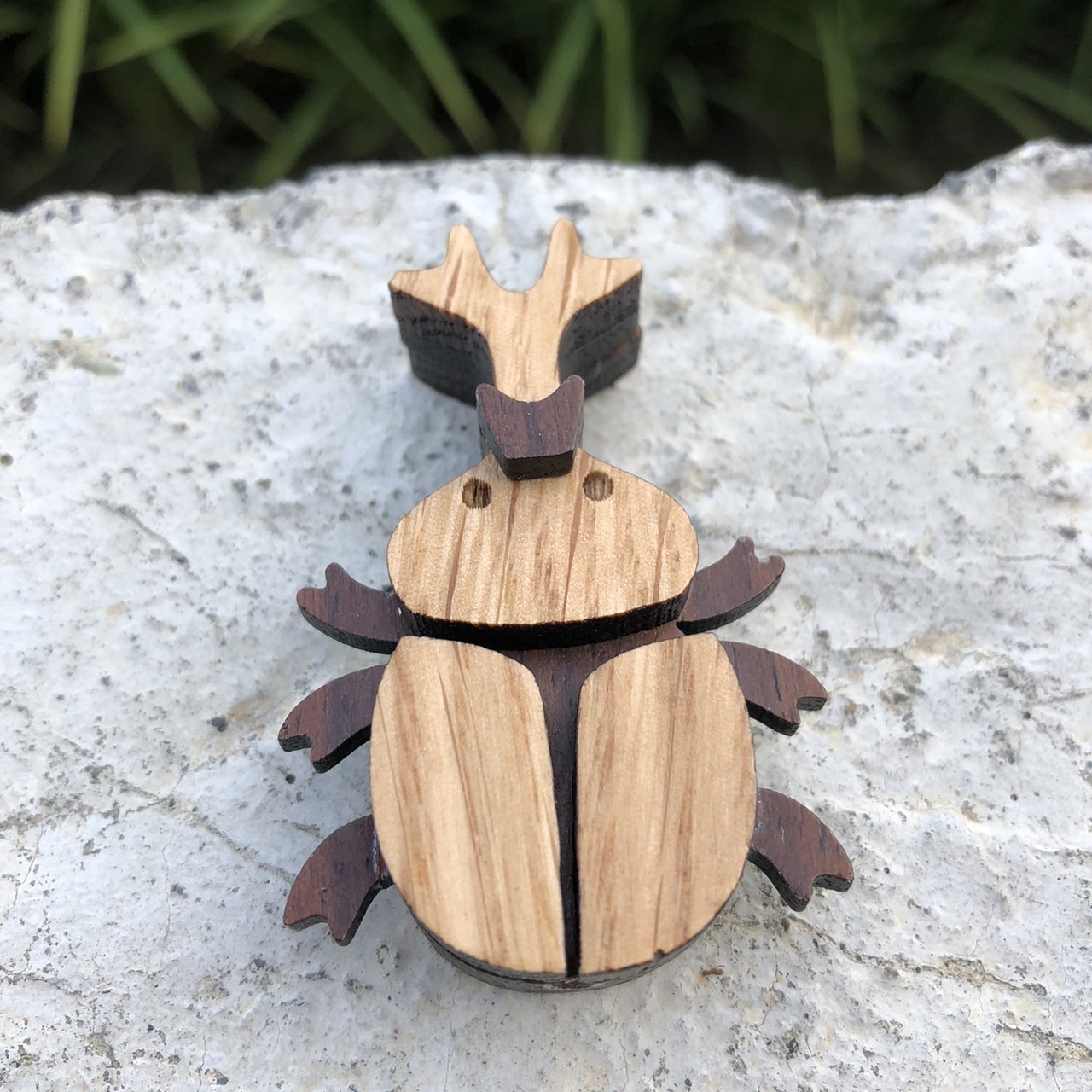 雙角仙不崩潰磁鐵